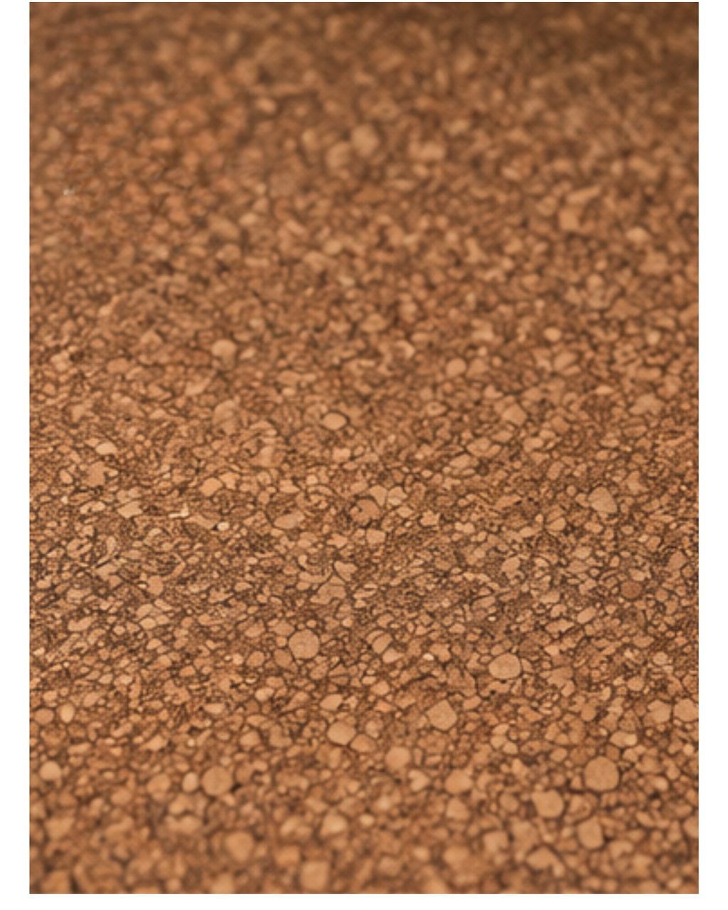 A close-up texture shot of a cork surface, showing its characteristic granular, porous structure in warm brown and tan tones.