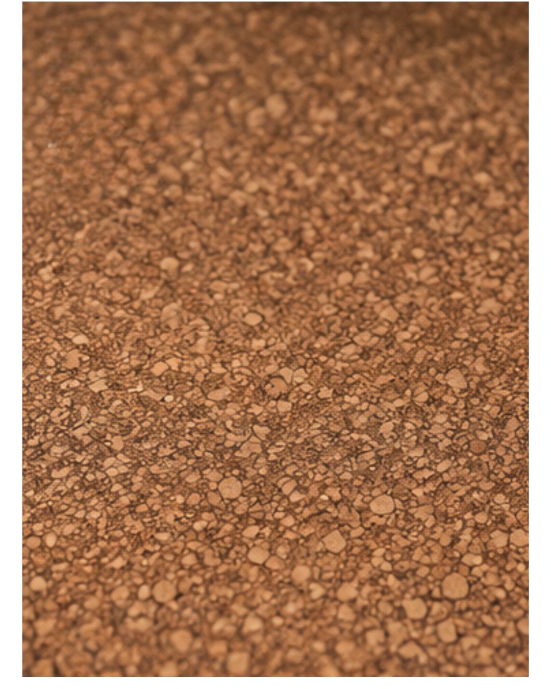 A close-up texture shot of a cork surface, showing its characteristic granular, porous structure in warm brown and tan tones.